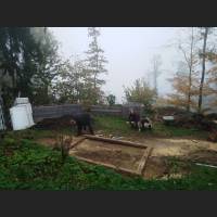 IMG_20191019_115159.jpg