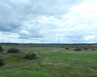 Schier endlose Landschaft ...