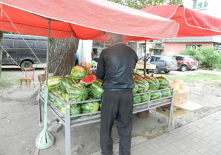 Wassermelonen